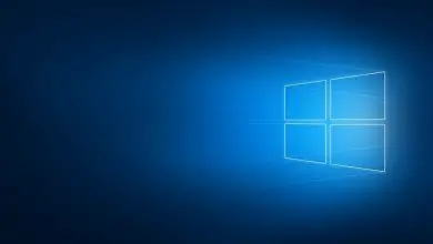 Photo of Windows 10 version 1903: blocs de mise à jour et problèmes