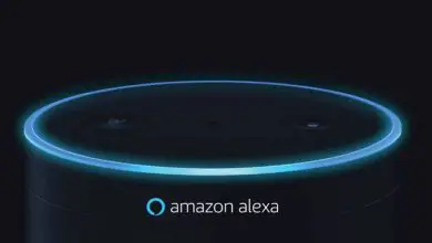 Photo of Amazon conserve les enregistrements Alexa si vous ne les supprimez pas