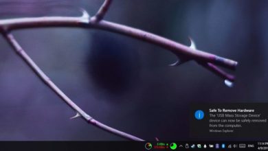 Photo of Désactivez la fonction «Supprimer en toute sécurité» de Windows 10