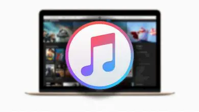 Photo of Where are the iTunes features of macOS Catalina?