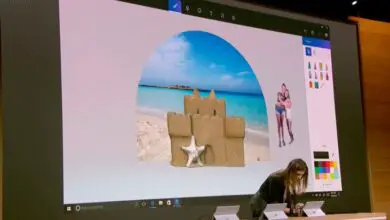 Photo of Paint 3D, le successeur de Paint pour Windows 10 vous permettra de dessiner en 3D