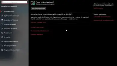 Photo of Windows 10 vous avertira lorsque votre ordinateur n’est pas compatible avec la mise à jour de mai 2019