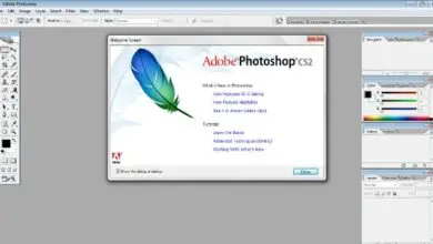 Photo of 5 aplicaciones de Adobe que podemos usar de forma gratuita