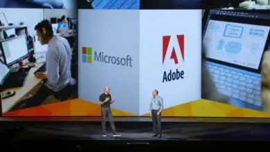 Photo of Microsoft et Adobe concluent une nouvelle alliance pour unir les produits et services