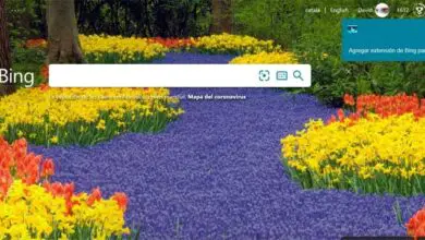 Photo of Changez votre fond d’écran Windows quotidiennement avec BingWallpaper