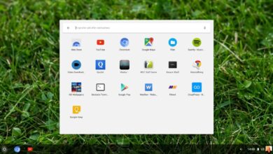 Photo of Profitez de Chrome OS sur n’importe quel ordinateur avec ChromX