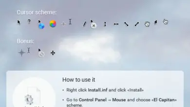 Photo of Comment installer le curseur de la souris Mac dans Windows 10