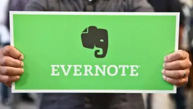 Photo of Evernote recule et ne pourra pas lire les notes des utilisateurs