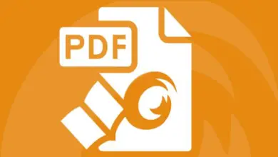 Foto van Wat is PDF / A, hoe verschilt het van PDF en wanneer wordt het aanbevolen om het te gebruiken?