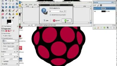 Photo of Applications essentielles si vous avez un Raspberry Pi