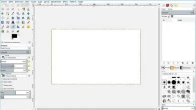 Photo of GIMP ou Inkscape, quel programme dois-je utiliser pour éditer des images?