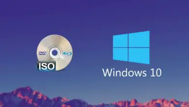 Photo of Microsoft supprime tous les ISO Windows 10 Insider de ses serveurs