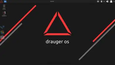 Photo of Drauger OS, la distribution Linux pour les jeux supérieure à Windows