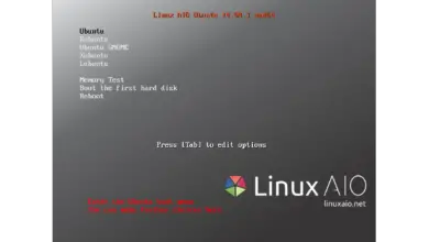 Photo of Linux AIO, différentes distributions Linux sur un seul DVD
