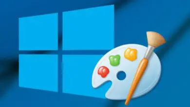 Photo of C’est la décision prise par Microsoft concernant Paint dans Windows 10 May 2019 Update
