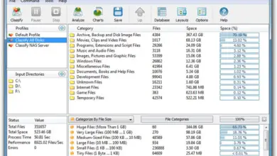 Photo of DiskSorter 4.4.25: Classifiez et organisez facilement les fichiers avec DiskSorter
