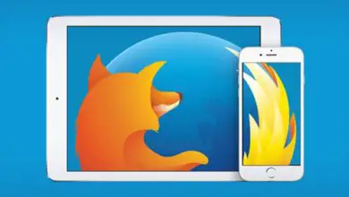 Photo of Firefox est mis à jour sur iOS pour augmenter votre sécurité et votre confidentialité