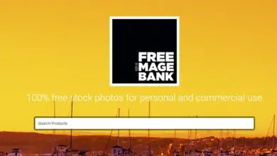 Photo of Banques d’images gratuites pour télécharger et utiliser des photos sans tracas juridiques