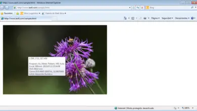 Photo of IExif para Internet Explorer permite ver la información EXIF