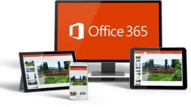 Photo of Voici les principales différences entre Office en ligne et Office 365