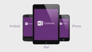 Photo of Microsoft publie une version gratuite de OneNote pour Mac