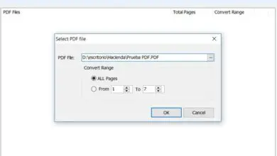 Photo of How to Convert PDF to Image with This Simple Application