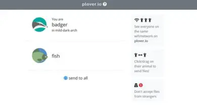 Photo of Plover, une application web multiplateforme pour échanger toutes sortes de fichiers