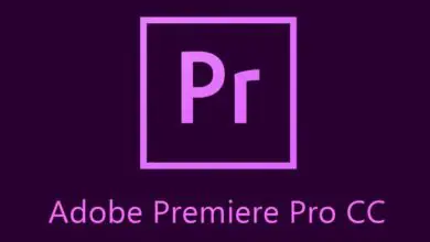 Foto van Adobe Photoshop CC 2019 en Premiere Pro CC: al het nieuws