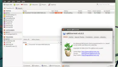 Photo of Ya disponible qBittorrent 3.3.5 con el nuevo modo de gestión de torrents y otras novedades