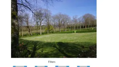 Photo of Comment appliquer toutes sortes de filtres à vos photos en un clic et gratuitement