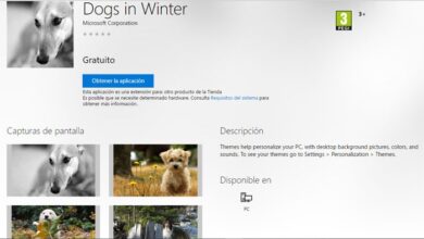Photo of Les premiers thèmes pour Windows 10 apparaissent dans la boutique officielle
