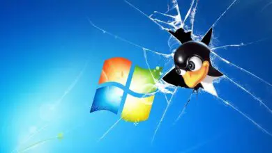 Photo of Microsoft continue de prendre en charge Linux et «Windows Subsystem for Linux» n’est plus en version bêta
