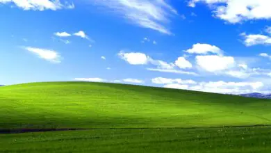 Photo of Pourquoi les utilisateurs ne mettent-ils pas à jour leurs systèmes avec Windows XP?