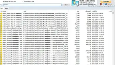 Photo of WizFile, l’outil de recherche immédiat de fichiers et de dossiers sous Windows