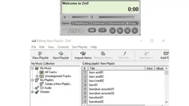 Photo of Zinf, un lecteur de musique compatible avec le streaming HTTP, SHOUTcast et Icecast