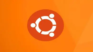 Foto van Hoe eenvoudig programma's op Ubuntu Linux te installeren die van internet zijn gedownload?
