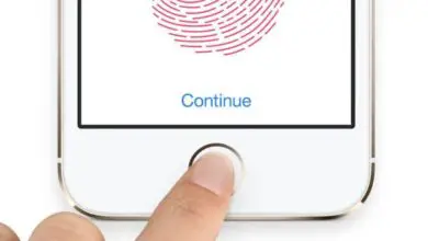 Photo of Comment mettre plus d’une empreinte digitale sur le Touch ID sur mon iPhone iOS