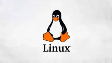 Foto van Waar zijn Linux-commando's voor en wat zijn de meest bruikbare basisprincipes?