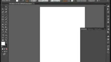 Foto van Hoe de achtergrond van een afbeelding te wissen of te verwijderen in Adobe Illustrator CC