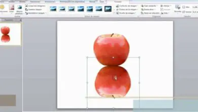 Photo of Comment créer une image miroir avancée dans PowerPoint