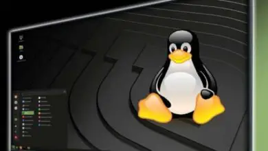 Foto de Quais são todas as versões do sistema Linux e seus recursos?