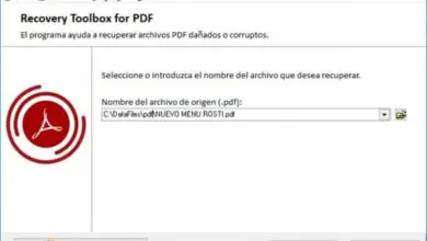 Photo of Comment réparer et récupérer un fichier PDF corrompu avec Recovery Toolbox