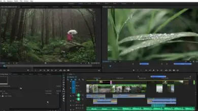 Photo of Comment exporter facilement une vidéo dans un canal Alpha ou un arrière-plan transparent dans Adobe Premiere