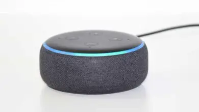 Photo of Comment utiliser et connecter Spotify avec les appareils Alexa et Amazon Echo