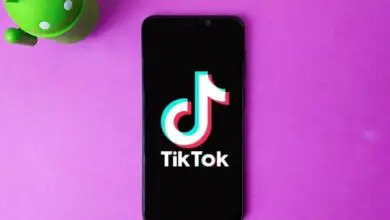 Foto von So legen Sie TikTok-Videos als Hintergrundbild auf meinem Handy fest