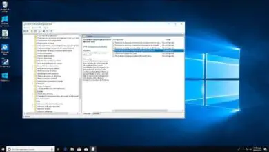 Photo of Comment mettre à jour automatiquement toutes les applications sur mon PC Windows 10? – Pas à pas