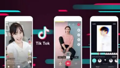 Photo of How can I do duets on Tik Tok?