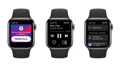 Foto von Wie kann ich Spotify auf meiner Apple Watch verwenden