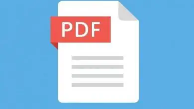 Photo of Comment définir et définir Adobe Reader PDF comme lecteur par défaut dans Windows 10