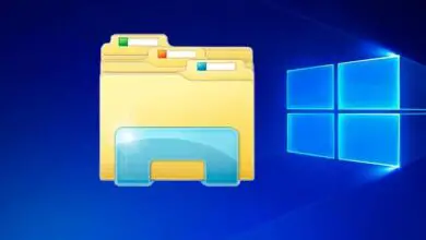 Photo of How to quickly find files or folders on my Windows PC just by typing